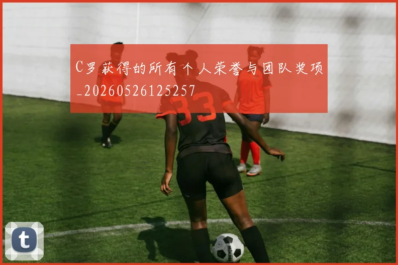 C罗获得的所有个人荣誉与团队奖项_20260526125257